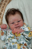 ADALYN DE TASHA EDENHOLM.