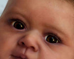 JOY DE EBTEHAL ABUL. PRE VENTA 18 AGOSTO-24