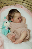JOY DE EBTEHAL ABUL. PRE VENTA 18 AGOSTO-24