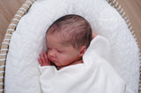 LIL PREM DE LAURA LEE EAGLES. PAGO TOTAL ABRIL 15-22.