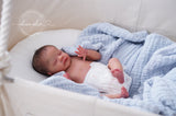LIL PREM DE LAURA LEE EAGLES. PAGO TOTAL ABRIL 15-22.