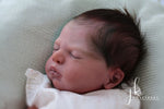 EVERLEE DE SABINE ALTENKIRCH.