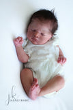 EVERLEE DE SABINE ALTENKIRCH.